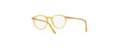 Eyeglasses Polo Ralph Lauren 2083