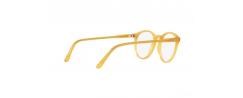 Eyeglasses Polo Ralph Lauren 2083