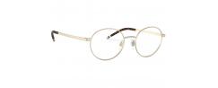 Eyeglasses Polo Ralph Lauren 1193