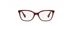 Eyeglasses Ralph Lauren 7110