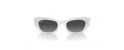 SUNGLASSES RAYBAN 4430 ZENA