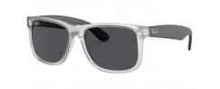 RAY BAN SUN MOD. 4165