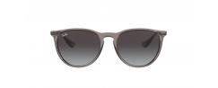 SUNGLASSES RAYBAN 4171 ERIKA  