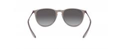 SUNGLASSES RAYBAN 4171 ERIKA  