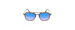 SUNGLASSES RAYBAN 4273