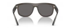 SUNGLASSES RAYBAN REVERSE 0501S