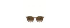 SUNGLASSES RAY BAN 4305