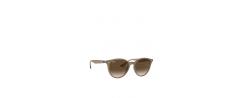 SUNGLASSES RAY BAN 4305