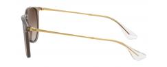 SUNGLASSES RAYBAN 4171 ERIKA  