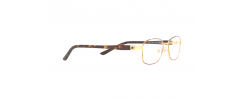 Eyeglasses Sferoflex 2570