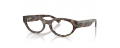 Eyeglasses RayBan 5447