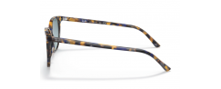 SUNGLASSES RAYBAN 2197