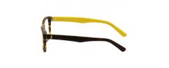 Eyeglasses Polo Ralph Lauren 2141